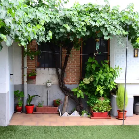 La Cantina De Daniel *