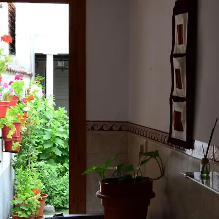 Holiday home La Cantina De Daniel *