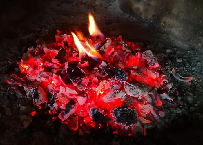 La Cantina De Daniel Chatun